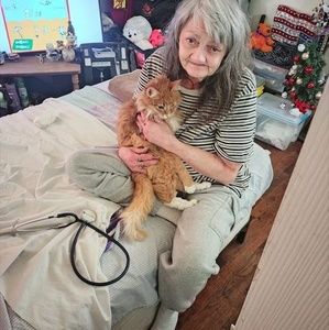 Meet your Posher, Donald